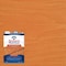 Thompsons Waterseal Thompson's WaterSeal Semi-Transparent Natural Cedar Waterproofing Wood Sealer 1 gal TH.092601-16 - alternate 1